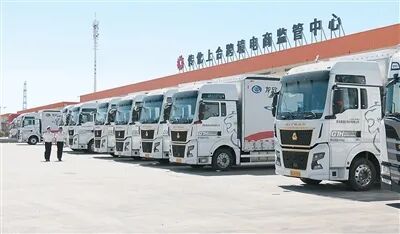 开云电竞:人民日報海外版山東小番茄送到莫斯科超市需要多長時間？(图3)