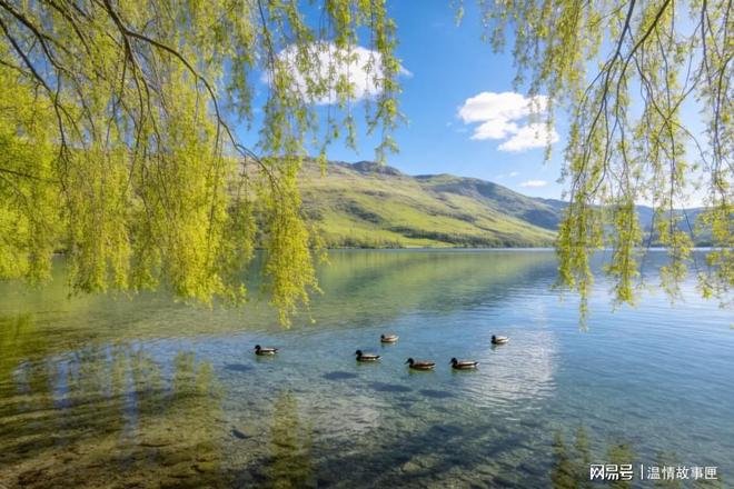 丈母娘办寿宴不请我两天后堵门逼我付钱我一句话噎住她(图3)