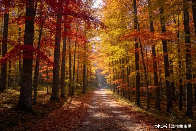 丈母娘办寿宴不请我两天后堵门逼我付钱我一句话噎住她(图2)